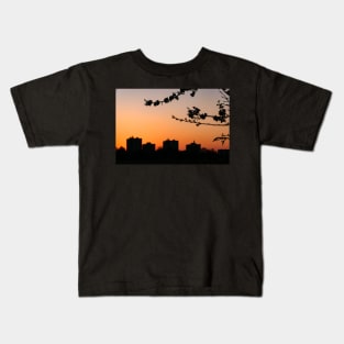 Houses and flowers in the sunset Kids T-Shirt